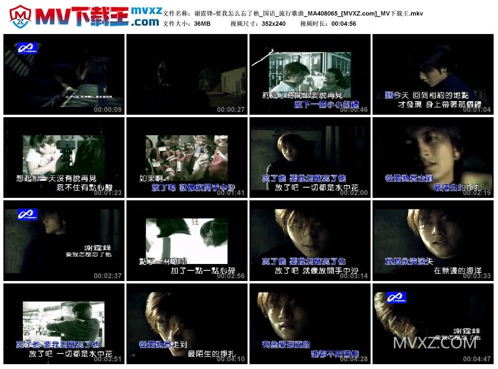 谢霆锋-要我怎么忘了他_国语_流行歌曲_MA408065